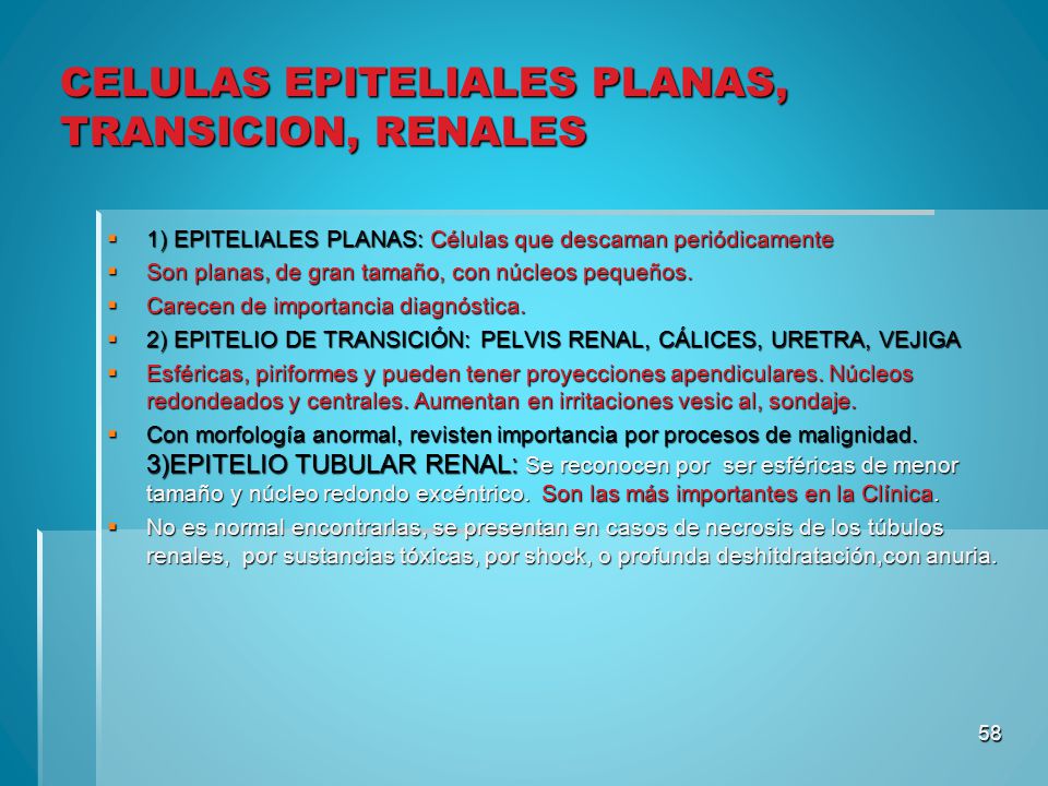 Celulas epiteliales planas altas en orina